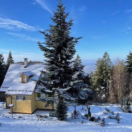 Sonnenhaeusle - Natur. Fernblick. Panorama-Sauna. Засбахвальден Экстерьер фото