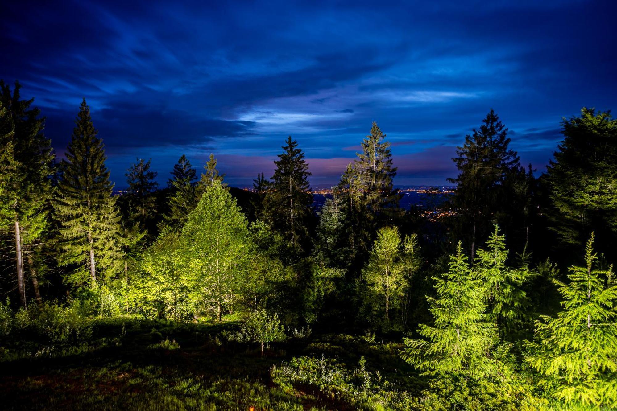Sonnenhaeusle - Natur. Fernblick. Panorama-Sauna. Засбахвальден Экстерьер фото