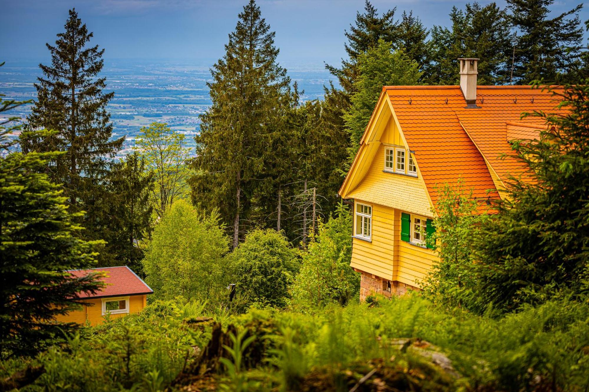 Sonnenhaeusle - Natur. Fernblick. Panorama-Sauna. Засбахвальден Экстерьер фото