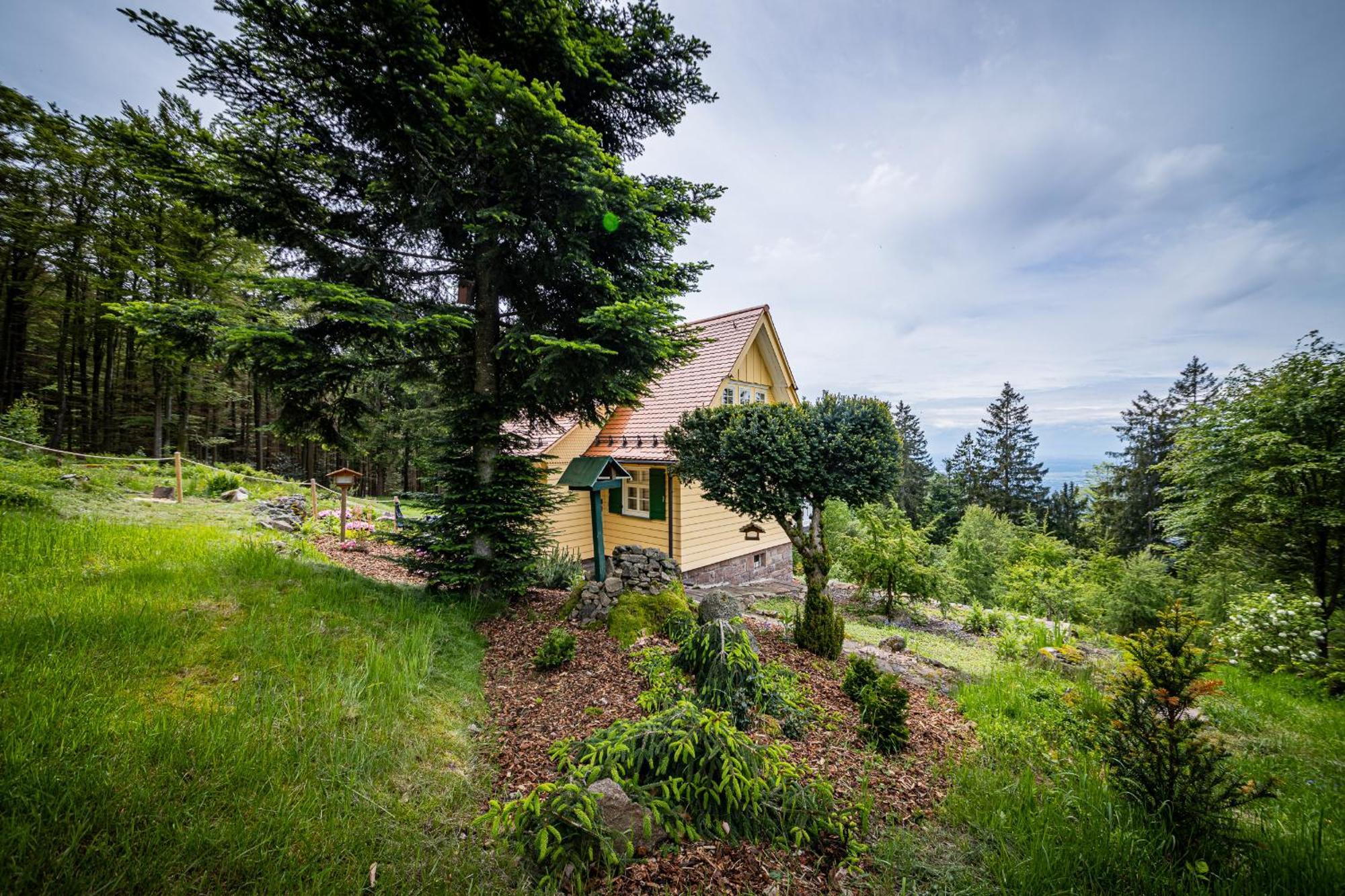 Sonnenhaeusle - Natur. Fernblick. Panorama-Sauna. Засбахвальден Экстерьер фото