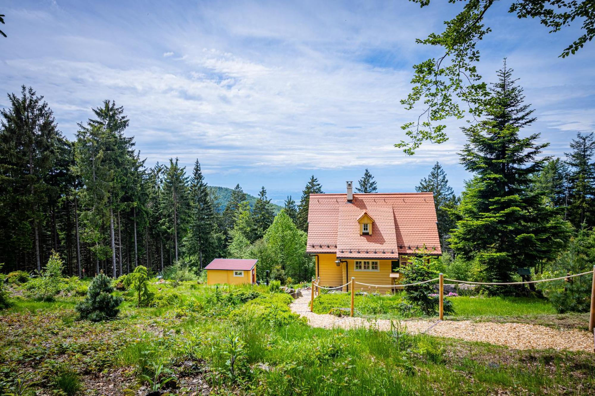 Sonnenhaeusle - Natur. Fernblick. Panorama-Sauna. Засбахвальден Экстерьер фото
