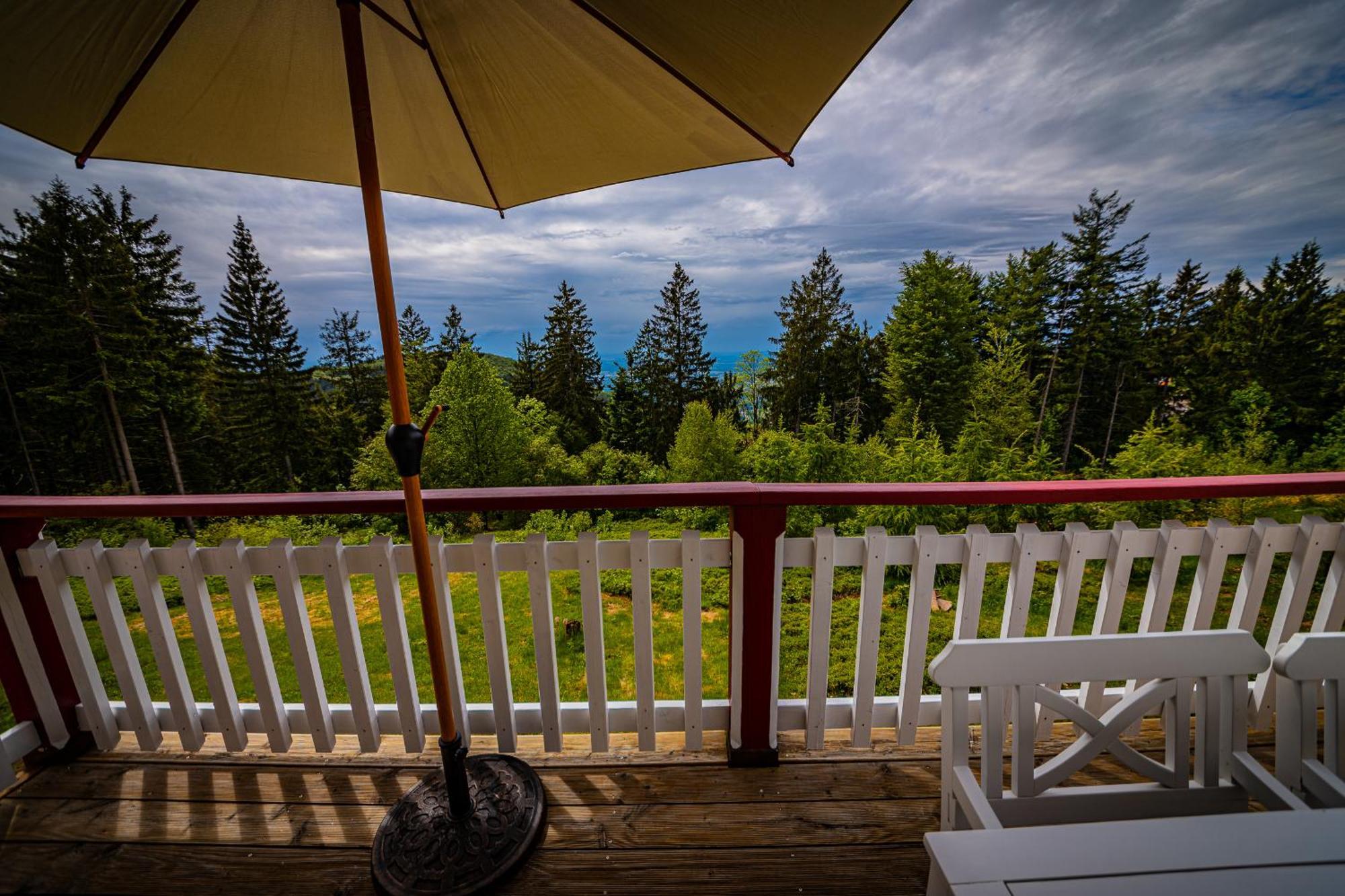 Sonnenhaeusle - Natur. Fernblick. Panorama-Sauna. Засбахвальден Экстерьер фото