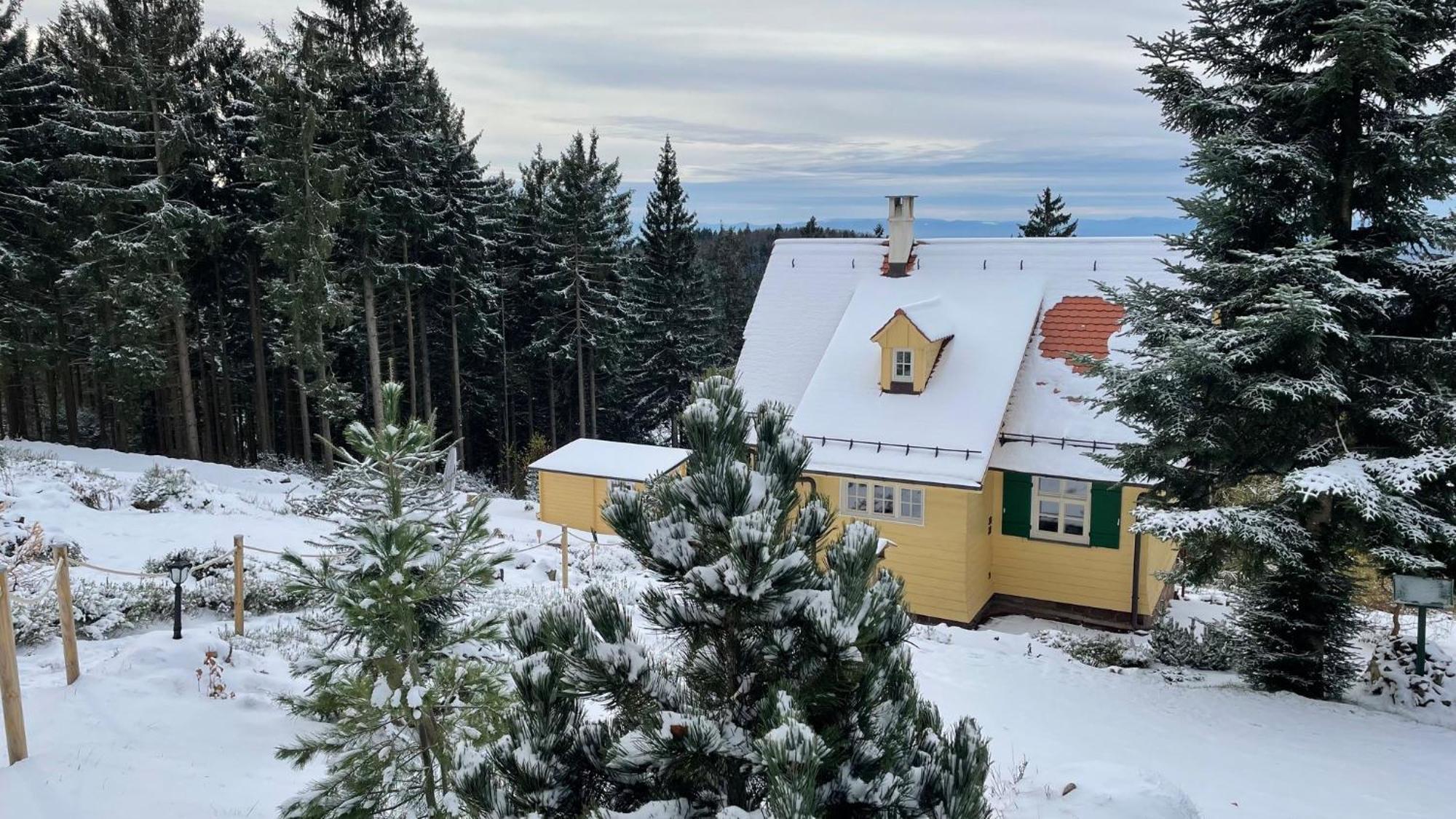 Sonnenhaeusle - Natur. Fernblick. Panorama-Sauna. Засбахвальден Экстерьер фото